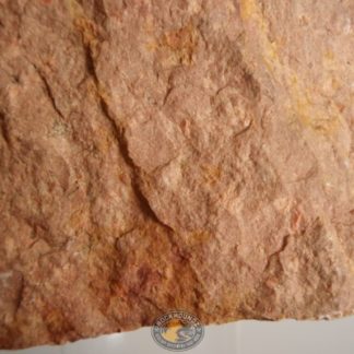 Feldspar Porphyry - Rockhoundz