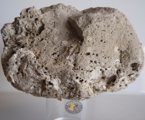 Pumice: Identification, Pictures, & Info for Rockhounds